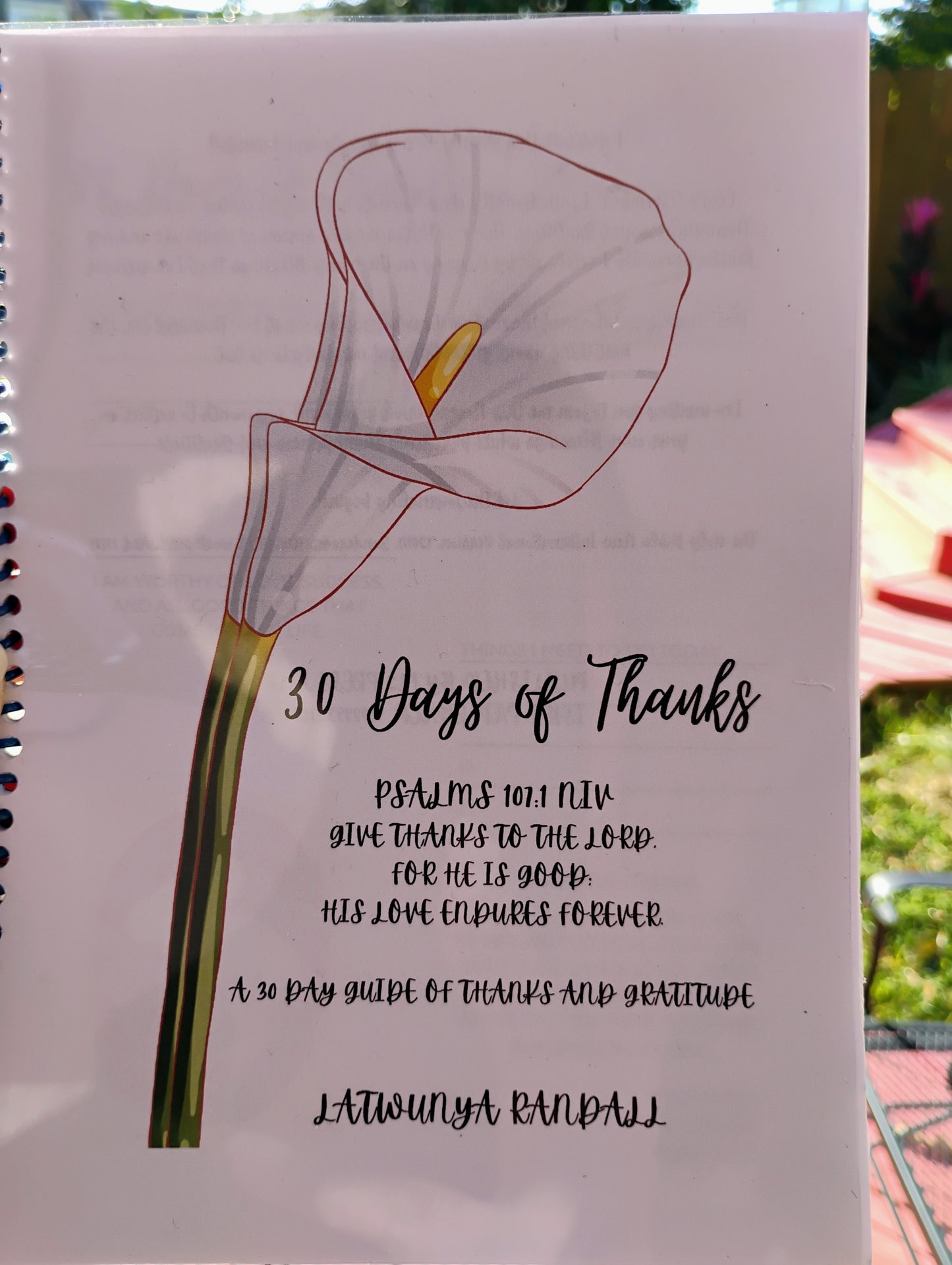 30 Days of Thanks Journal - paper copy