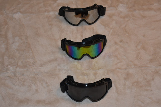 Sports/Ski Goggle (Large frame)