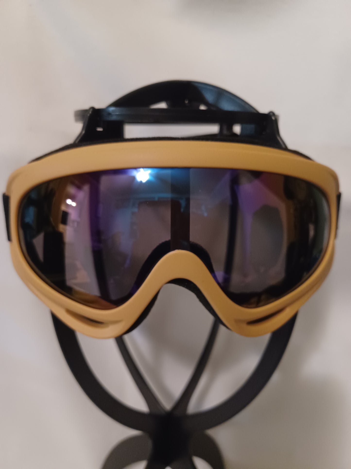 Sports/Ski Goggles