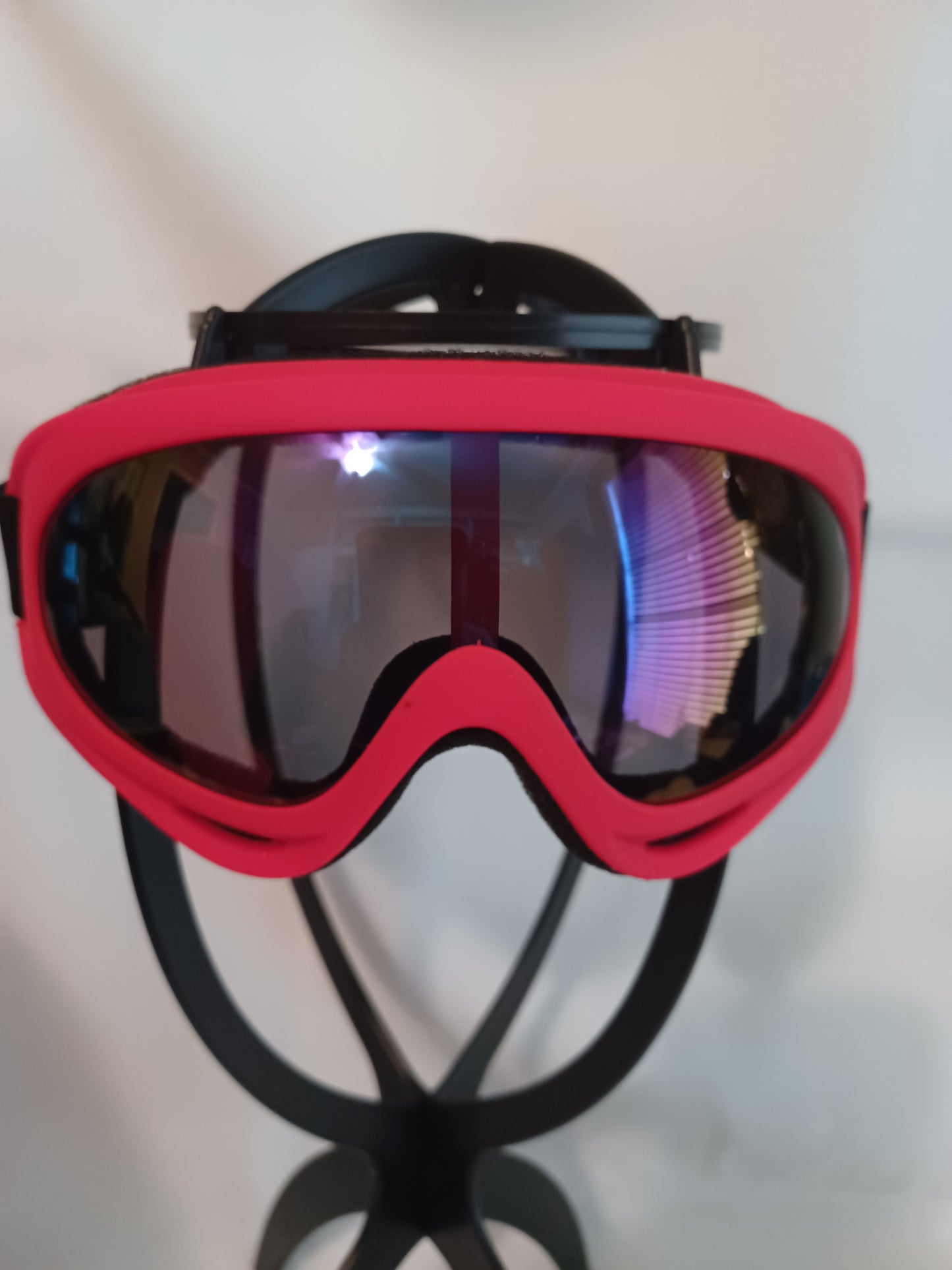 Sports/Ski Goggles